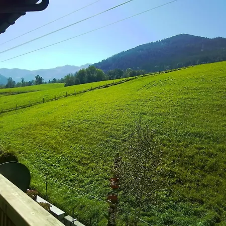 Appartement Haus Stegen *