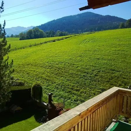 Haus Stegen Appartement